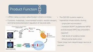 LRRK2 Gene presentation video
