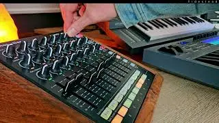 Melodic Techno  - Minifreak & Minitaur & Launchcontrol XL performance 2024