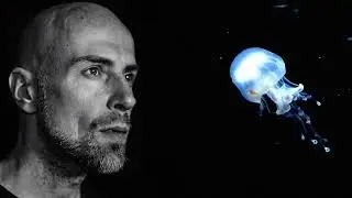 Thomas Schernikau  - What Do I Know (Official Visualizer)