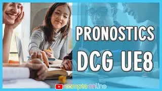 Analyse des sujets de DCG UE8 2022