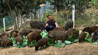 Jhony is gradually recovering his health and continuing his daily work on the farm.