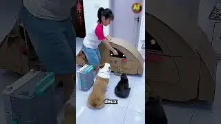 La meilleure voiture en papier &agrave; faire &agrave; la maison 😱
