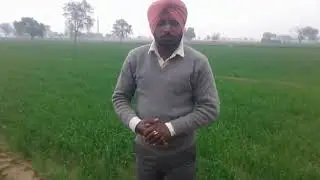 UPrudence company GP Excel X  product feedback from farmer
