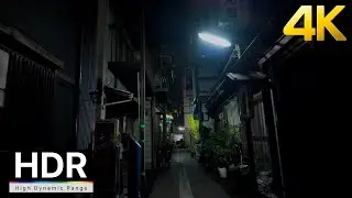 JAPAN - 3AM Midnight Walk in Kachidoki Tokyo【4K HDR】