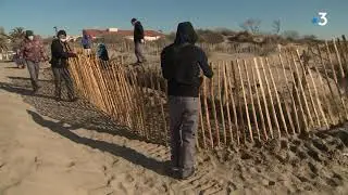 Hérault : un chantier d'insertion à l'emploi sur la plage du Cap d'Agde