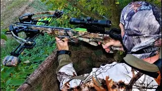 TOP 5 BEST HUNTING CROSSBOW 2021
