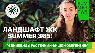 ЛАНДШАФТ ЖК SUMMER 365: редкие виды растений и фишки озеленения 🌿 #батуми