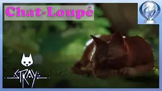 [Viens on platine] Stray - Troph&eacute;e : Chat-Loup&eacute;