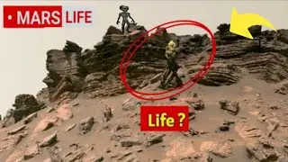 NASA Mars Rover Perseverance Sent Most Incredible Footage Of Mars 2025
