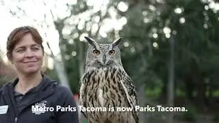 Parks Tacoma &ndash; squirrels