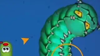 Alex is live WormsZone.io Biggest Slither Snake 1,000,000+ Score World Record Top 01 Live Stream