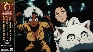 𝗡𝗘𝗪 𝗦𝗧𝗔𝗧𝗜𝗢𝗡 𝗢𝗥𝗗𝗘𝗥 新宙 | Synth Funk & Disco Dance