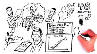 48-Plex Human Cytokine Screening Assay - Build Your Biomarker Map