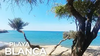 Playa Blanca el lugar donde los algarrobos descansan frente al mar