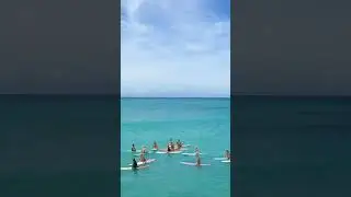 Vibrant Surfers: A Colorful Wait for the Perfect Wave #shorts #respect #relaxing #asmr #tranquility