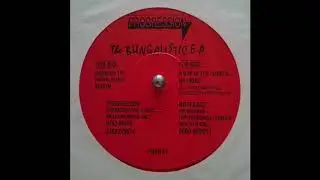 Progression Vision The Bugalistic EP   PROG01