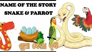 ଶୁଆ ଦେଲା ବୃଦ୍ଧି ‼️Name of the story snake and parrot ‼️In odia story ‼️#viral #story 