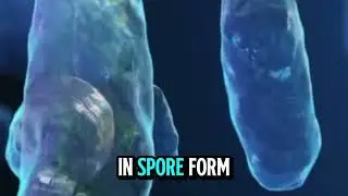 🦠🚀 Alien or Earthling? Strange Bacteria Discovered on China&rsquo;s Space Station! 🌌 #bacteria #science