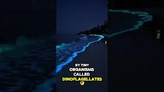 The Secret of America&rsquo;s Glowing Lakes