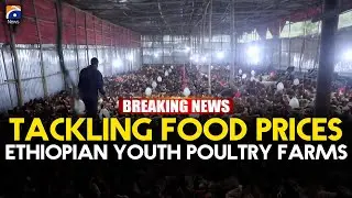 Ethiopians tackle food prices with small-scale poultry farms | Geo News English