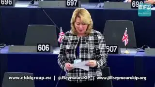 EU port services legislation will put jobs at risk - Jill Seymour MEP