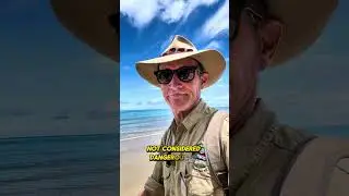 В местах обитания крокодилов всегда будьте осторожны. #askanyaussie #crocturnbull #australia #cro...