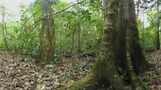 BCFS - Sonso Community - 360 VR