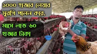 পঞ্চাশ হাজার 😱লেয়ার মুরগির খামার, মাসে লাভ কত টাকা? #shakilfarming #লেয়ার_মুরগি_পালন
