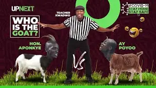 Who owns the 