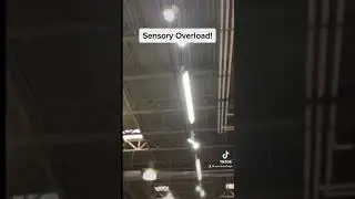 Simulation of a sensory overstimulation experience for Autistic individuals.