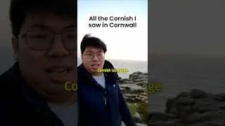 All the Cornish I saw in Cornwall