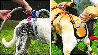 Amazing inventions & Dog gadgets For Dog Lovers