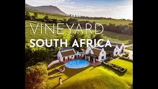 Vineyard South Africa - Amazing by drone