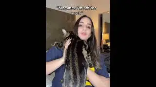 Every clingy cat loves its owner deeply
