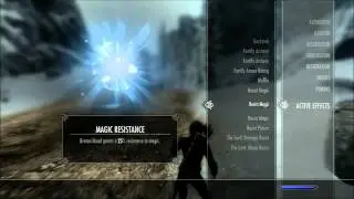 Skyrim Assassin. Dragons and Magic Resist
