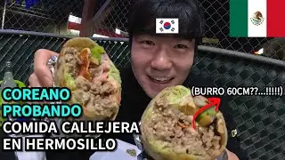 COREANO PROBANDO COMIDA CALLEJERA EN HERMOSILLO | SONORA(6) 🇲🇽