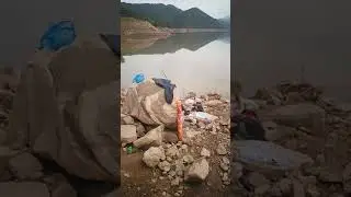 Fishing in simly dam #Fish #Fishing