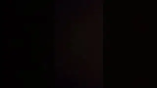 My 2 cats ash and daisy running around from the basement to the bedroom
