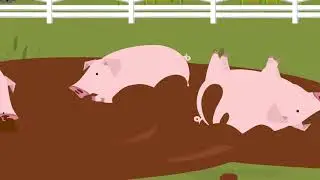 Pigs Roll in the Mud | Kids Songs | hey dee ho music