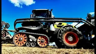CLAAS Axion 9.450 + SLY Stripcat - Siew rzepaku 2025