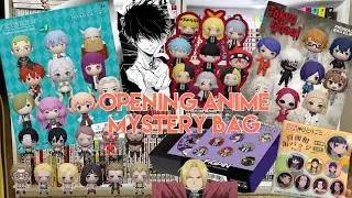 Opening Anime Mystery Bag | Bag Clip, Pin, Magnet, Figure
