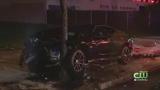 Car Slams Into Light Pole, Tree In North Philadelphia