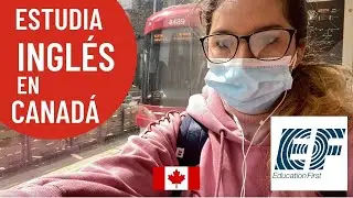 Estudia ingl&eacute;s en Toronto, Canad&aacute;! My EF experience | Valery English