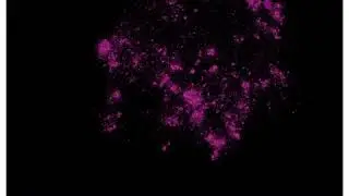 Simulation of Driven Structure Formation (3D projection)