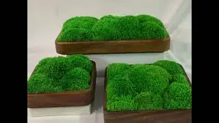 Video presentation of Rectangular Bun Moss Bowl