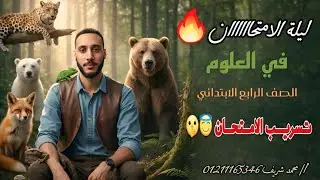 🔥 مش هتحتاج تفتح الكتاب تاني | مراجعة ليلة الامتحان الصف الرابع الابتدائي الترم الاول