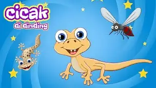 Cicak cicak di dinding || naik delman istimewa || naik delman || lagu anak anak