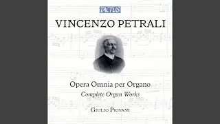 4 Sonate per il Vespero: No. 4. Poco andante