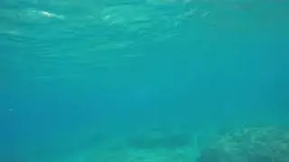 26.08.2017-Nightcrawler, Mermerli Beach, Antalya 3