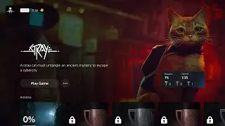 Get the Keys - Stray - a Fun Game - PS5 - 4K - VRR
